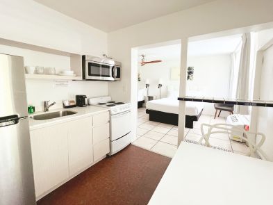 Tropi Rock | Tropi Rock Suite 393 295 Tropi Rock Suite